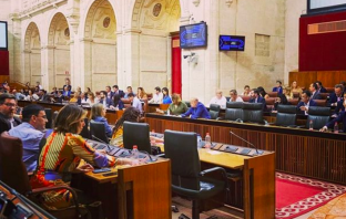 Votación en el Pleno del Parlamento Andaluz del 30 de mayo de 2019.