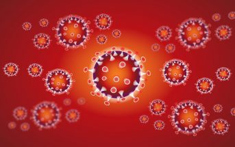 Suspendidas las clases en Madrid durante al menos dos semanas para frenar el contagio de coronavirus. (Foto: Vektor Kunst/Pixabay)
