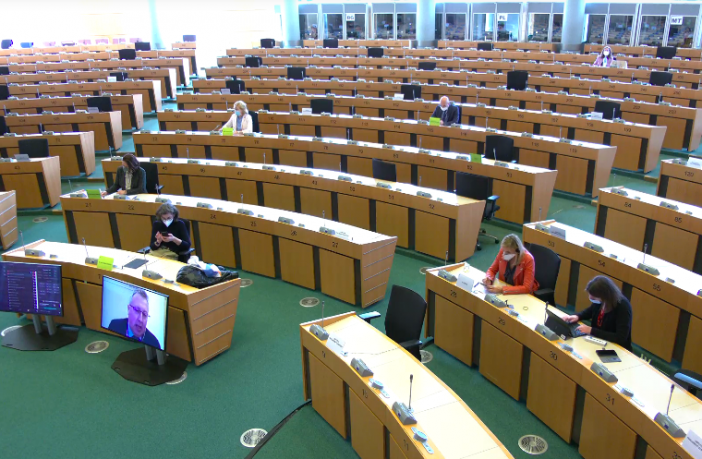 Sesión de la Comisión de Peticiones de la Eurocámara del 23 de marzo durante la intervención del presidente de CONCAPA con su petición de amparo.