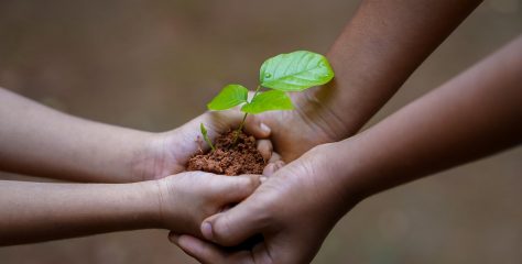 Educación en valores: la cuestión es cómo